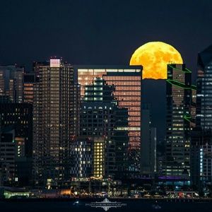 Nu2Posh Posh Journey